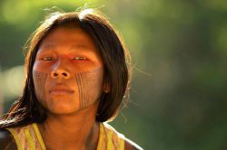 Кто же такой коренной житель?