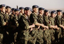 Виды и рода войск РФ. Какой род войск самый крупный